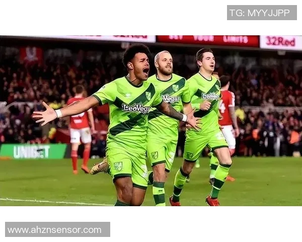 诺维奇与雷丁2019年精彩对决回顾及赛后分析