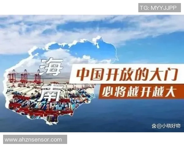 倪永康的政治生涯与影响力分析及其在中国改革开放中的角色探讨